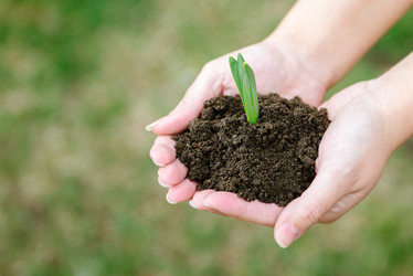 Similar image 8323430