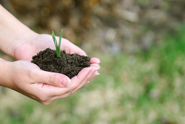 Similar image 8323432