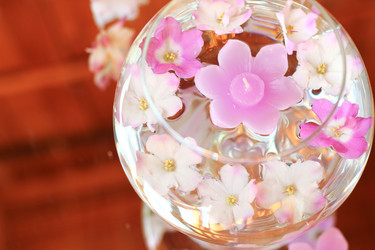 Similar image 8323773