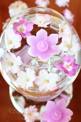 Similar image 8323775