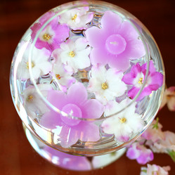 Similar image 8323786