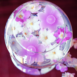 Similar image 8323789