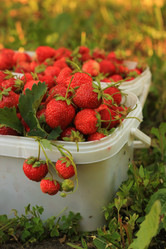 Similar image 8323805