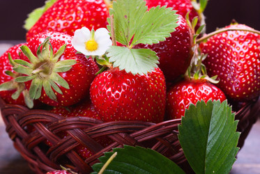 Similar image 8323838