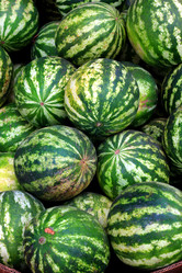 Similar image 8323849