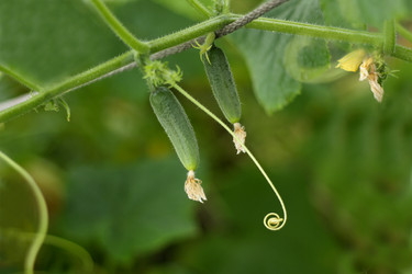 Similar image 8324422