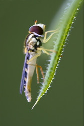 Similar image 8324437