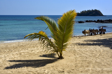 Similar image 8324438