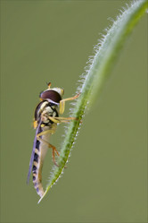 Similar image 8324451