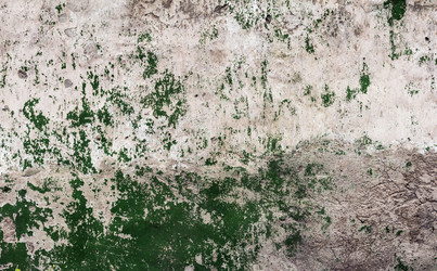 Similar image 8324540