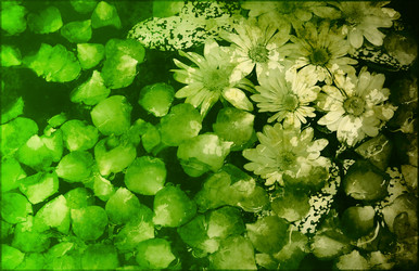 Similar image 8324624