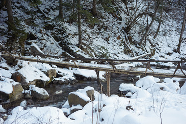 Similar image 8324695