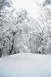 Similar image 8324820