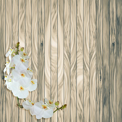 Similar image 8325151