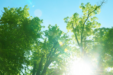 Similar image 8325598