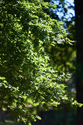 Similar image 8325607