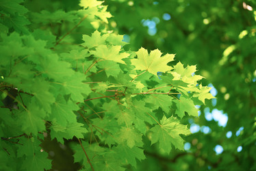 Similar image 8325609