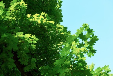 Similar image 8325616