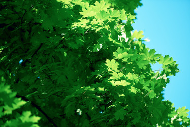 Similar image 8325625