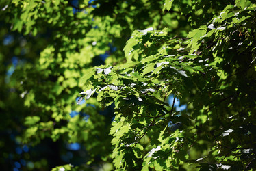 Similar image 8325627