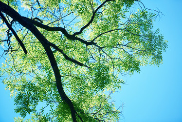 Similar image 8325628