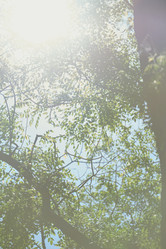 Similar image 8325659