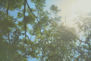 Similar image 8325665