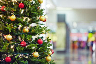 Similar image 8325722