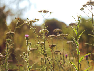 Similar image 8326665