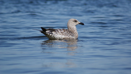 Similar image 8326786