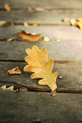 Similar image 8326788