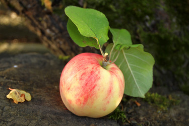 Similar image 8326793