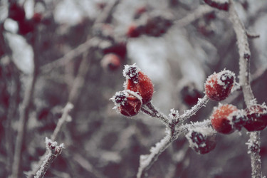 Similar image 8326806