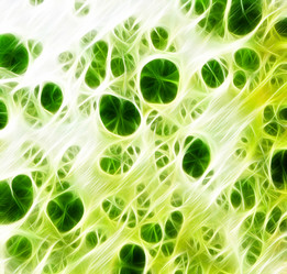 Similar image 8327162