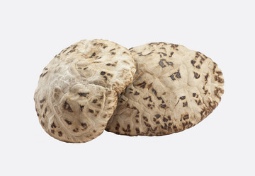 Similar image 8327274