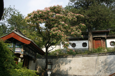 Similar image 8327288