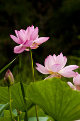 Similar image 8327379