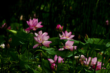 Similar image 8327380