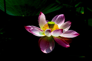 Similar image 8327381