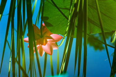 Similar image 8327382