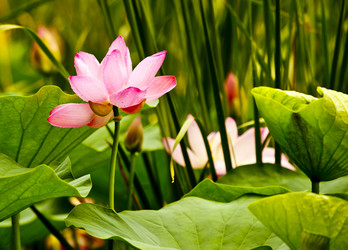 Similar image 8327390