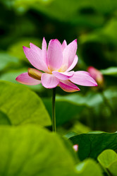 Similar image 8327391