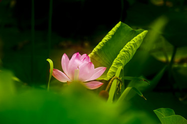 Similar image 8327394