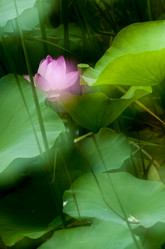 Similar image 8327395