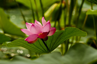 Similar image 8327396