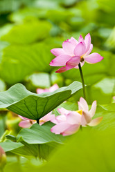 Similar image 8327397