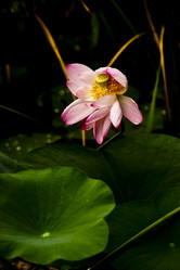 Similar image 8327398