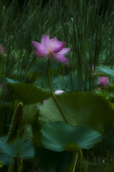 Similar image 8327409