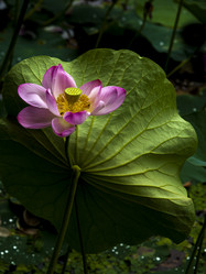 Similar image 8327426