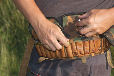 Similar image 8342402